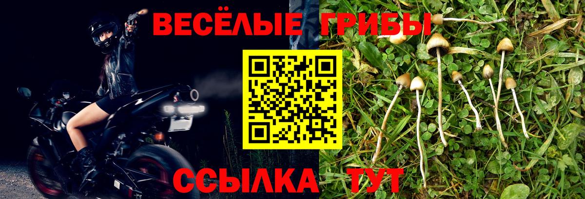 Галлюциногенные грибы ЛСД Советская Гавань