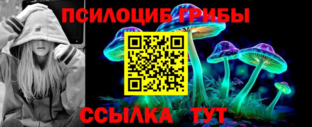 Советская Гавань  Галлюциногенные грибы мицелий  Галлюциногенные грибы прущие грибы  Вход с VPN 